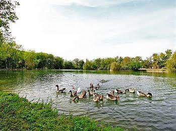 Auberge De L'Etang Bleu Vieux-Mareuil Luaran gambar